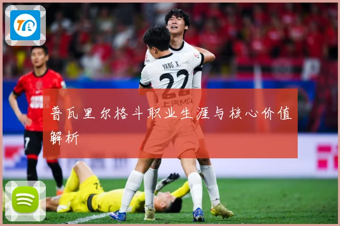 普瓦里尔格斗职业生涯与核心价值解析