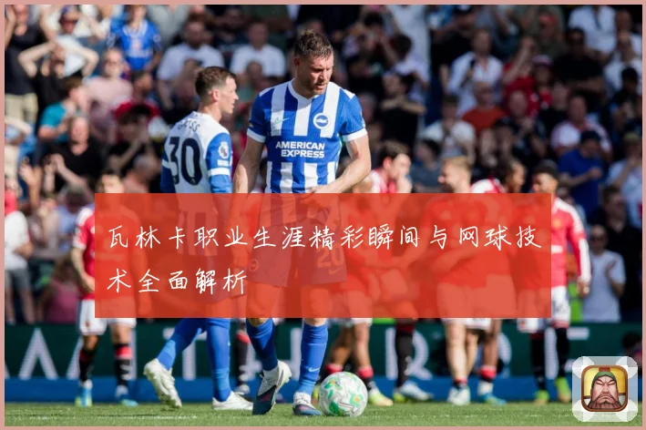 瓦林卡职业生涯精彩瞬间与网球技术全面解析